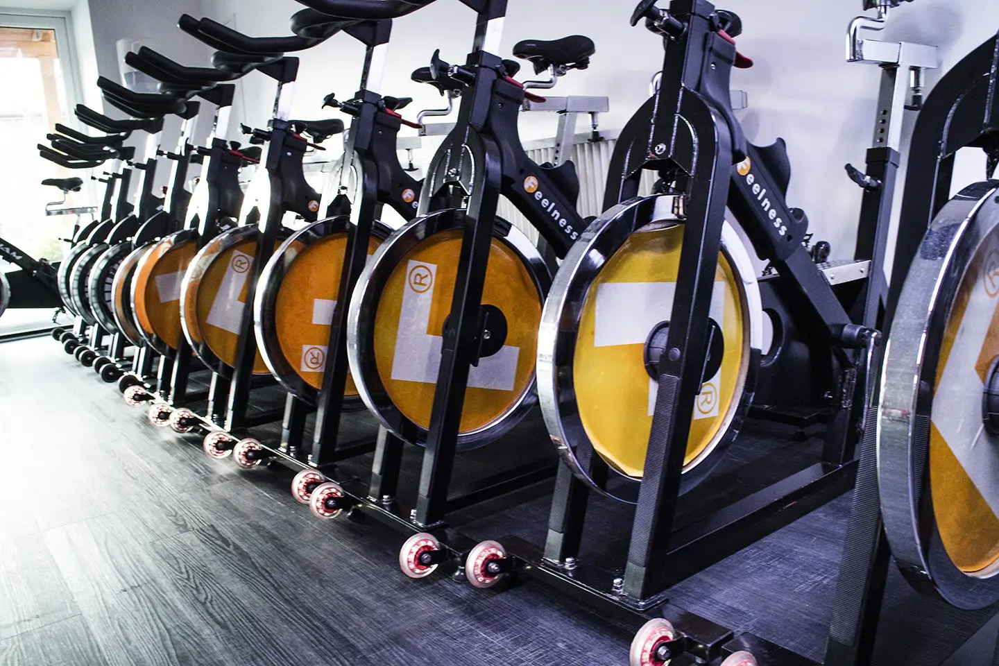 Family Fitness Bernburg – Bewegung verbindet