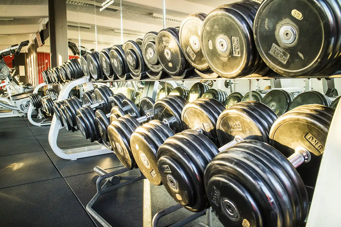 Family-Fitness-Bernburg-–-Deine-Fitnessreise-beginnt-hier