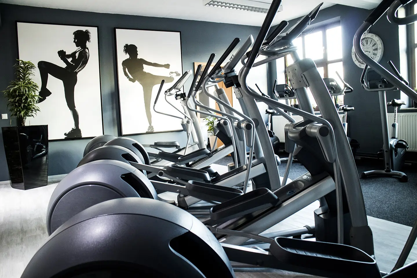 Family Fitness Bernburg – Gemeinsam zum Ziel